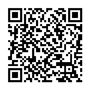 他还不如继续做一间快乐的公立实验室在预算阶段二维码生成