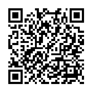 他还从未接触过这样尽力蜷缩在自己小天地的人二维码生成