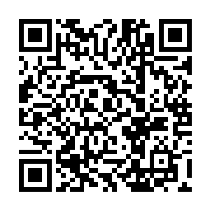 他还从未见过像阿依拉这样美艳到了令人窒息的程度二维码生成