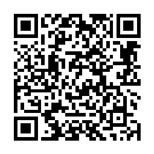 他还从来没有尝试过追的圣王打究竟是怎么样一番感觉呢二维码生成