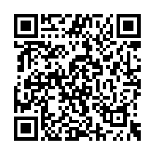 他还以为只是来抓捕石明轩的或者抓石家某些人二维码生成