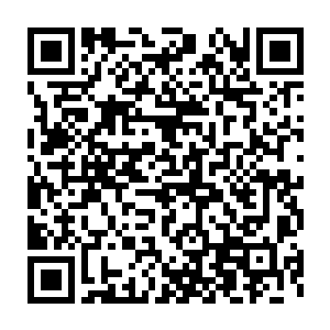 他还可以跟着享受后期的利润――这可不是随便什么人都能捞到的待遇二维码生成