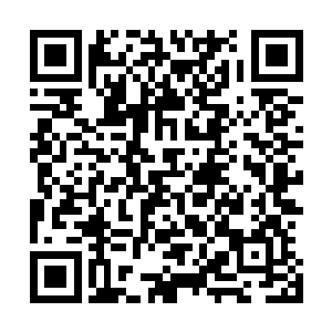 他还在临别时特意给奥利维亚和穆根留下了自己的联系方式二维码生成