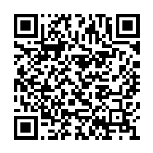 他还在襁褓之中时就被母亲背在身后和妖兽厮杀二维码生成