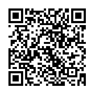 他还得感谢玉杀四人这么多年来能躲过天庭的两次清剿二维码生成