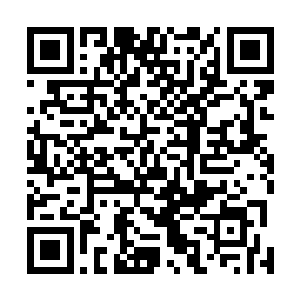 他还想着他和原战可能要费一番力气在王宫中做一些手脚二维码生成