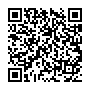 他还把这些天在竞技场获得的所有收益都拿了出去二维码生成