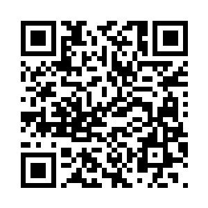 他还是将两只青僵召回到自己的身边二维码生成