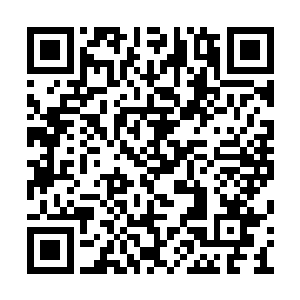 他还是更想要看那个冲自己笑向自己瞪眼的凌菲二维码生成