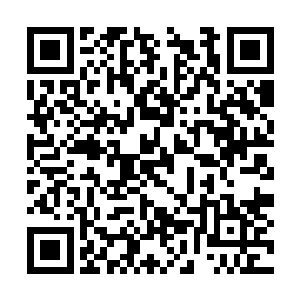 他还是清楚地看到了她因为痛哭而剧烈颤抖的双肩二维码生成