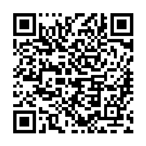 他还是第一次听到花幼兰用如此不客气的态度对待自己二维码生成