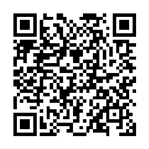 他还是第一次这么坦诚地在珍妮跟前展示着自己的不安二维码生成
