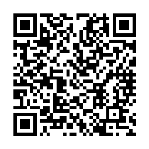 他还是觉得自己在这场赌斗中处于一种过于强势的地位二维码生成