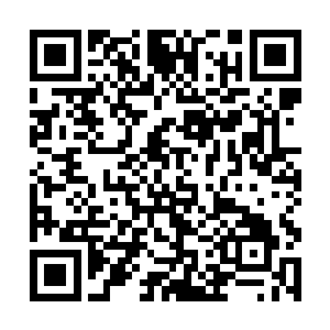 他还有意无意的瞥了一眼正在向那片水域探看的吴岩二维码生成