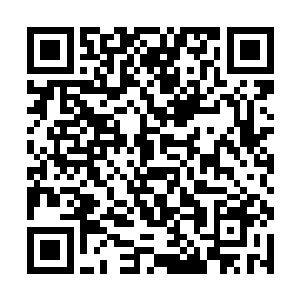 他还没有反应过来便感觉到握着手枪的臂膀猛地一痛二维码生成