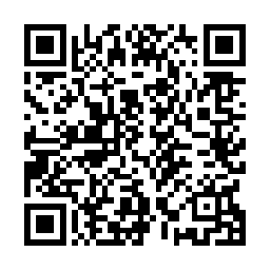 他还没有蠢到想要单纯利用蓝灵之火去威胁两大妖兽王者二维码生成
