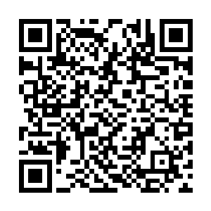 他还活着这不就是证明了养顾蛊神可以长生不老吗二维码生成