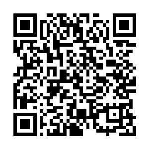 他还真不知道青阳神殿弟子身份铭牌还分档次的二维码生成