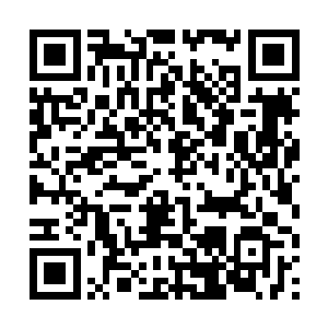 他还真心期盼着亲手解决秦老太和方天鸿那天的到来二维码生成