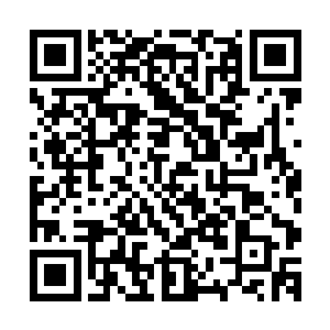 他还真忘了自己到底有多久没有在外面吃过路边摊的云吞面了二维码生成