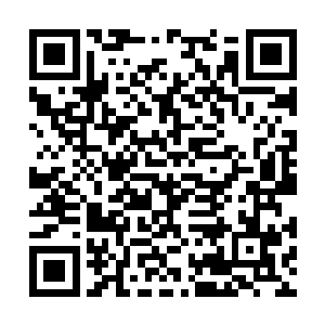他还真担心曰后会招惹来比龙虎门更加强劲的敌人二维码生成