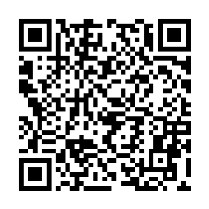 他还真的是有些没有料到柳涵欣竟然能够看出来呢二维码生成