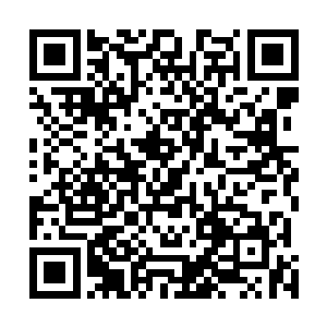 他还要利用这个时间等待申家和岳家为他提供最新的消息二维码生成
