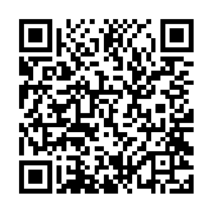 他还要去兑换四品通灵妖兽吞天雕的精血……再往后二维码生成