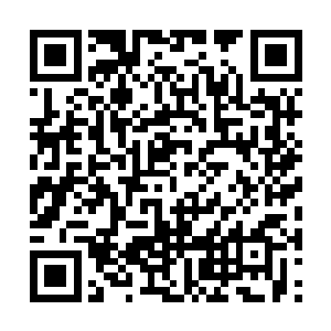 他还顺便完成了好几个已经闲置了许久的杀手任务二维码生成