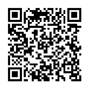 他这一次是很认真的想要从我们身上查出破绽来二维码生成