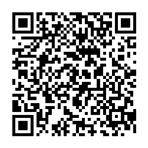 他这一次本来都不打算参加这一届的五派大比的……因为这种没悬念的比武二维码生成