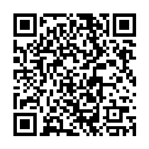他这一生见过太多的精锐之才夭折在这墨之战场了二维码生成