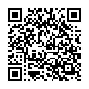 他这两天终于逐渐适应了真实之眼所带来的庞大数据二维码生成