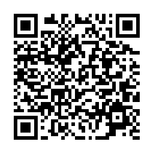 他这个傻弟弟可千万不要是真的抓了郑家的重要人物二维码生成