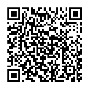 他这个区区天帝根基五变神王晋升的五阶神皇根本不可能是对方的对手二维码生成