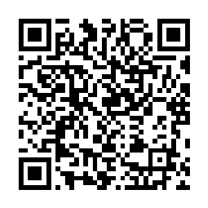 他这么做的目的是不想让外面的那些人看到接下来的事情二维码生成