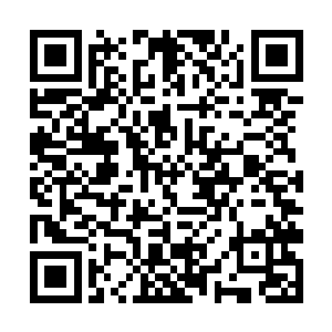 他这么判断不能说有错……虽我现在才是炼气大圆满二维码生成