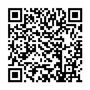 他这么想着便准备去前院找正在照应铺子的苍兰二维码生成