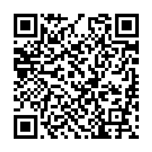 他这些年亲眼见证了项山在行军作战上的种种部署二维码生成