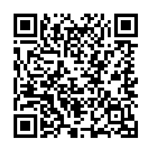 他这元婴之上燃烧的鬼火却被那绿色光芒的海洋给吞没二维码生成