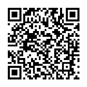 他这出乎人意料的行为并没有让山洞里的其他人怎么吃惊二维码生成