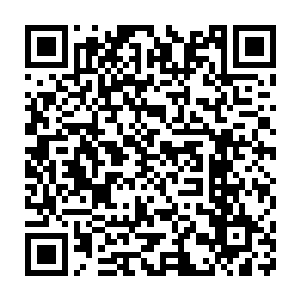 他这大灰狼的曲调是在昭示着她以后是苦逼的羊咩咩或者小红帽吗二维码生成