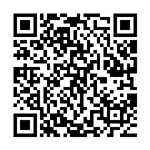 他这张大众脸早已在东临嫣雪心中竖立起了高大而伟岸的形象二维码生成