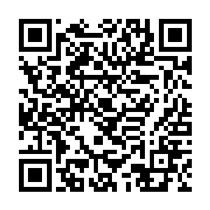 他这才发现小家伙躲藏的白色洞穴根本不是什么洞穴二维码生成