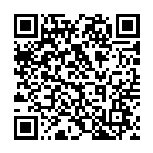 他这才后知后觉的知道月华那小子竟然真的敢对他动手二维码生成