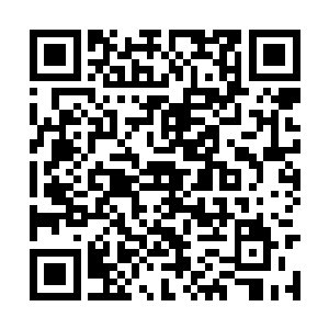 他这才意识到秦宝华已经在沪上逗留了接近十天了二维码生成