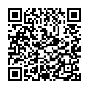 他这样的举动给他的侍卫和随身杀手带来多么巨大的震惊二维码生成