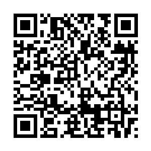 他这样的人又怎么会因为害怕被折磨而选择自杀呢二维码生成
