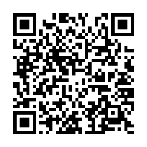 他这根本就是因为十三号一句话然后就找来了而已二维码生成