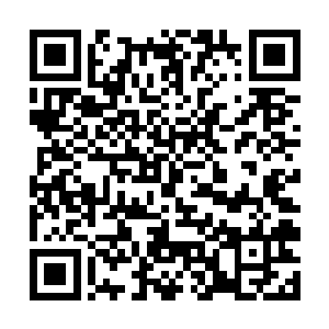 他这次下定决心不惜代价也要给穆凡君等人一点教训二维码生成